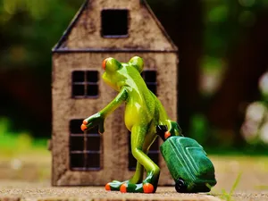 Organisation du travail, productivité, économie, crise sanitaire, bien-être au travail