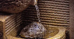 L'urgence de l'eau