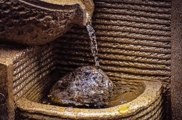 L’urgence de l’eau